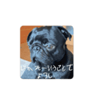ついに動きだした！くう＆ふーたろ（個別スタンプ：7）