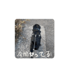 ついに動きだした！くう＆ふーたろ（個別スタンプ：10）