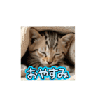子猫ちゃん スタンプ（個別スタンプ：2）