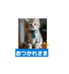 子猫ちゃん スタンプ（個別スタンプ：3）