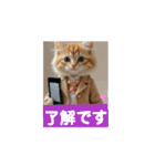 子猫ちゃん スタンプ（個別スタンプ：4）