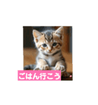 子猫ちゃん スタンプ（個別スタンプ：9）