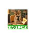 子猫ちゃん スタンプ（個別スタンプ：13）