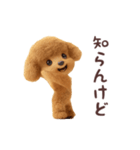 踊る煽り犬、トイプー参上！（個別スタンプ：6）
