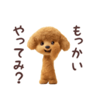 踊る煽り犬、トイプー参上！（個別スタンプ：12）