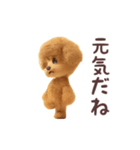 踊る煽り犬、トイプー参上！（個別スタンプ：23）