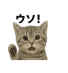 ぼく。マンチカン！子猫の日常挨拶（個別スタンプ：11）