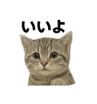 ぼく。マンチカン！子猫の日常挨拶（個別スタンプ：12）