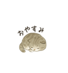 ずっと使える淡色にゃんこスタンプ（個別スタンプ：4）