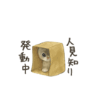 ずっと使える淡色にゃんこスタンプ（個別スタンプ：5）