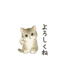 ずっと使える淡色にゃんこスタンプ（個別スタンプ：11）