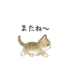 ずっと使える淡色にゃんこスタンプ（個別スタンプ：12）