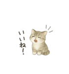 ずっと使える淡色にゃんこスタンプ（個別スタンプ：14）