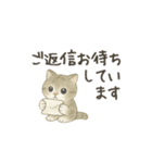 ずっと使える淡色にゃんこスタンプ（個別スタンプ：16）