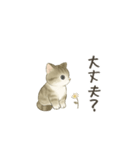 ずっと使える淡色にゃんこスタンプ（個別スタンプ：18）