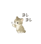 ずっと使える淡色にゃんこスタンプ（個別スタンプ：19）