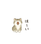 ずっと使える淡色にゃんこスタンプ（個別スタンプ：21）