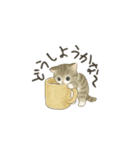 ずっと使える淡色にゃんこスタンプ（個別スタンプ：22）
