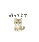 ずっと使える淡色にゃんこスタンプ（個別スタンプ：24）