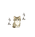 ずっと使える淡色にゃんこスタンプ（個別スタンプ：27）