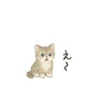 ずっと使える淡色にゃんこスタンプ（個別スタンプ：29）