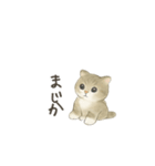 ずっと使える淡色にゃんこスタンプ（個別スタンプ：31）