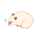 キンクマのだてちゃん。（個別スタンプ：3）