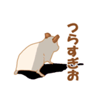キンクマのだてちゃん。（個別スタンプ：5）