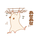 キンクマのだてちゃん。（個別スタンプ：19）