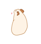 キンクマのだてちゃん。（個別スタンプ：20）