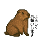 ア”ーッ！マーモットのスタンプ（個別スタンプ：1）
