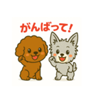 ヨークシャとプードルのご挨拶（個別スタンプ：8）