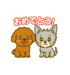 ヨークシャとプードルのご挨拶（個別スタンプ：12）