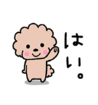 トイプードル♡お返事スタンプ（個別スタンプ：1）