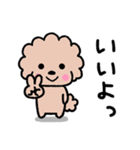 トイプードル♡お返事スタンプ（個別スタンプ：3）
