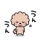 トイプードル♡お返事スタンプ（個別スタンプ：6）