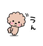 トイプードル♡お返事スタンプ（個別スタンプ：7）