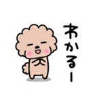 トイプードル♡お返事スタンプ（個別スタンプ：8）
