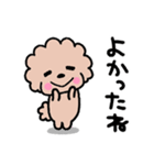 トイプードル♡お返事スタンプ（個別スタンプ：19）