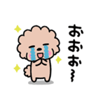 トイプードル♡お返事スタンプ（個別スタンプ：20）