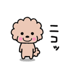 トイプードル♡お返事スタンプ（個別スタンプ：40）