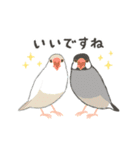 動く！マイペースな小鳥2(敬語)（個別スタンプ：4）