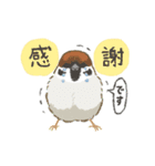 動く！マイペースな小鳥2(敬語)（個別スタンプ：6）