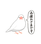 動く！マイペースな小鳥2(敬語)（個別スタンプ：10）