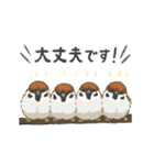 動く！マイペースな小鳥2(敬語)（個別スタンプ：13）