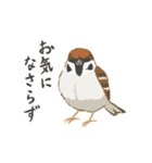 動く！マイペースな小鳥2(敬語)（個別スタンプ：19）