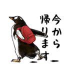 意外と使えるお疲れ家族ペンギン（個別スタンプ：3）