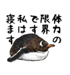 意外と使えるお疲れ家族ペンギン（個別スタンプ：7）