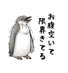 意外と使えるお疲れ家族ペンギン（個別スタンプ：12）