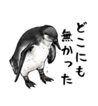 意外と使えるお疲れ家族ペンギン（個別スタンプ：13）